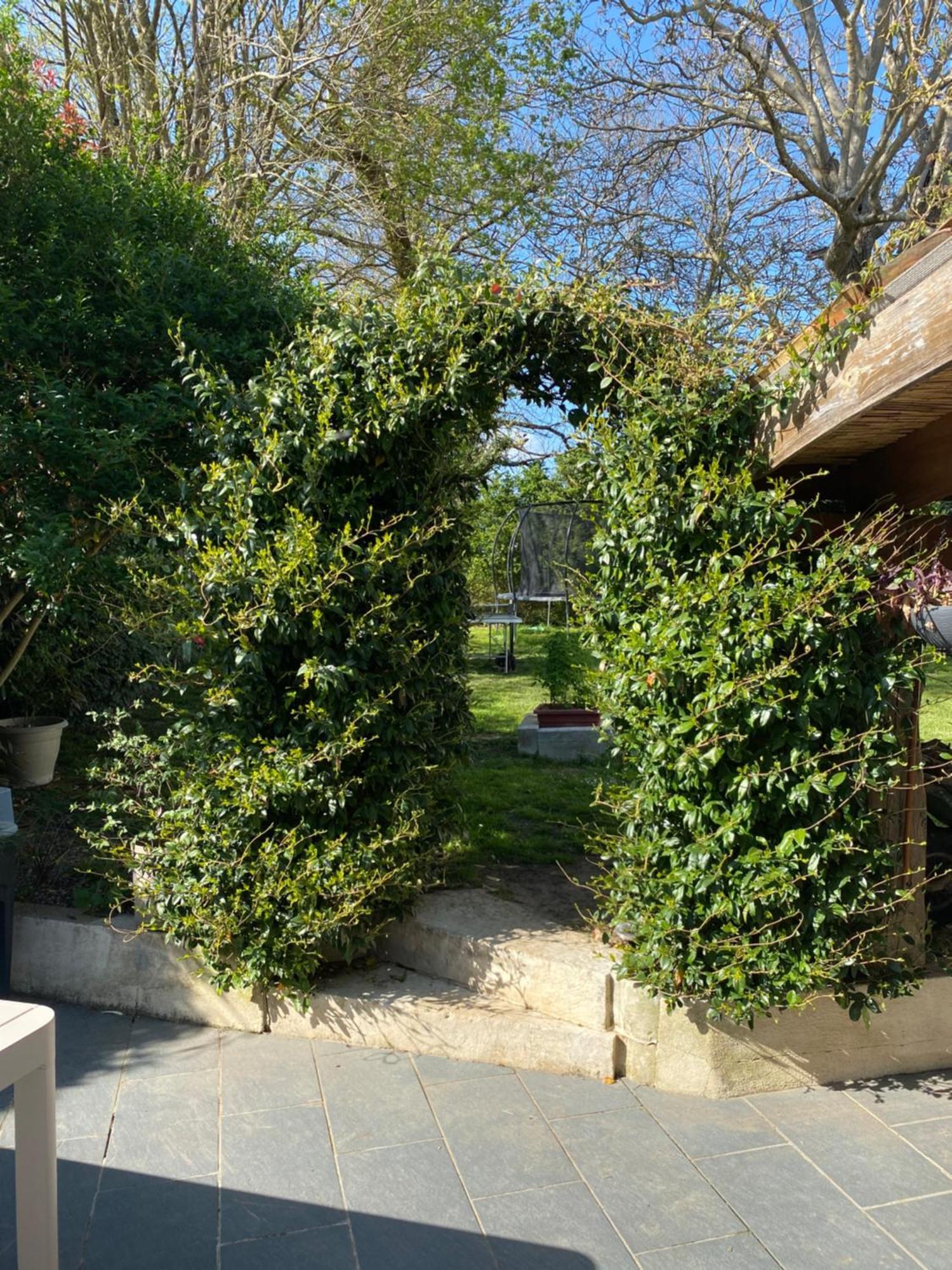 Villa Les 5 Timbres Montpellier-de-Médillan Esterno foto